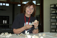 Veronica at work in the new lab.
