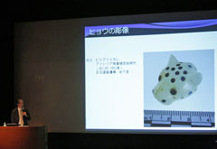 2013年度報告会・第24回研究会 (4)