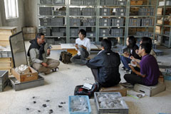 考古学フィールドコース2012第四回 (4)