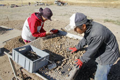 考古学フィールドコース2013 (4)