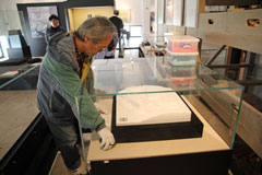 カマン・カレホユック考古学博物館の遺跡展示模型 (7)