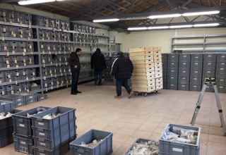 出土資料の整理作業 (3)