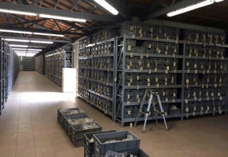 出土資料の整理作業 (5)