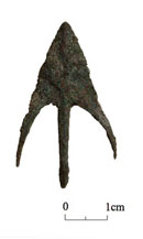 Fig. 11［クリックで拡大］