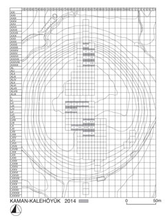 図1：2014年発掘区［クリックで拡大］