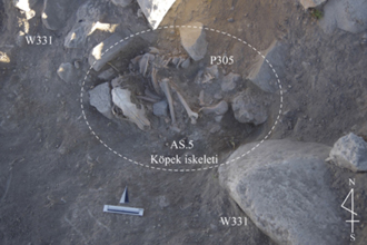 13. E8/h8: P305 獣骨出土状況［クリックで拡大］