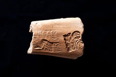 Fig. 12: 印影付土器片 YH190051［クリックで拡大］