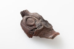 Fig. 9: 浮彫り装飾付土器片   YH190012［クリックで拡大］