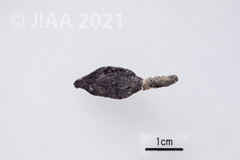 Fig. 34: YH21-61［クリックで拡大］