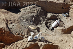 Fig. 23: P377、E9/d1、第III層、前期青銅器時代［クリックで拡大］