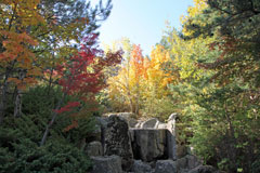 2013年三笠宮記念庭園の紅葉 (5)
