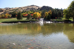 2013年三笠宮記念庭園の紅葉 (8)