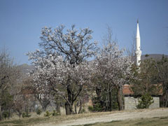 2014年三笠宮記念庭園の春 (5)