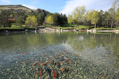 三笠宮記念庭園の開園準備 (6)