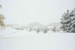 初雪2017 (1)