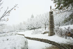 初雪2017 (2)