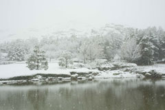 初雪2017 (4)