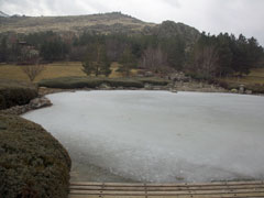 三笠宮記念庭園 (1)
