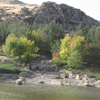 三笠宮記念庭園 2009年秋 (3)