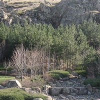 庭園春2010 (1)