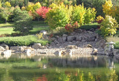 紅葉2010 (1)