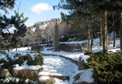 三笠宮記念庭園2011冬 (2)