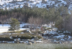 三笠宮記念庭園2011冬 (4)